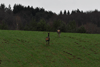dsc_0038.jpg