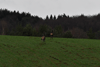 dsc_0039.jpg