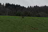 dsc_0040.jpg