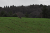 dsc_0041.jpg