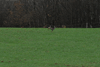 dsc_0042.jpg