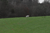 dsc_0043.jpg
