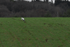 dsc_0044.jpg