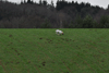 dsc_0045.jpg
