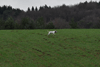 dsc_0046.jpg