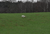 dsc_0047.jpg