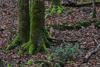 dsc_0049.jpg