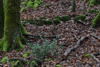 dsc_0050.jpg