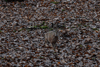 dsc_0053.jpg