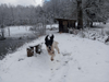 dsc_0001.jpg