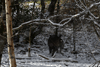dsc_0002.jpg