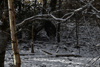 dsc_0003.jpg