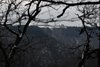 dsc_0014.jpg