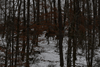 dsc_0020.jpg