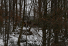 dsc_0021.jpg