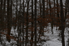 dsc_0022.jpg