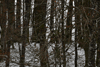 dsc_0023.jpg