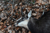 dsc_0003.jpg