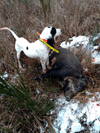 dsc_0005.jpg