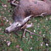 dsc_0002.jpg