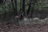 dsc_0014.jpg