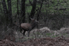 dsc_0016.jpg