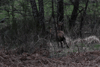 dsc_0017.jpg