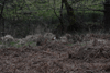 dsc_0019.jpg