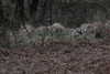 dsc_0020.jpg