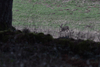 dsc_0027.jpg