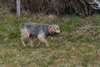 dsc_0005.jpg
