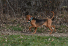 dsc_0006.jpg