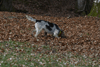 dsc_0007.jpg