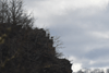 dsc_0008.jpg