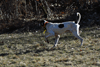dsc_0002.jpg