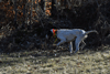 dsc_0003.jpg