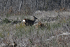 dsc_0012.jpg