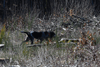 dsc_0013.jpg