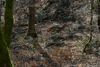 dsc_0015.jpg