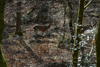 dsc_0016.jpg