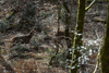 dsc_0017.jpg