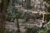 dsc_0018.jpg