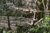 dsc_0019.jpg