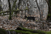 dsc_0020.jpg