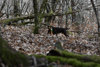 dsc_0021.jpg