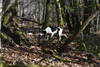 dsc_0022.jpg