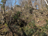 dsc_0001.jpg