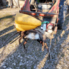 dsc_0029.jpg