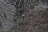 dsc_0001.jpg