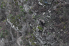 dsc_0003.jpg